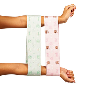 Resistance Bands 2pc Set